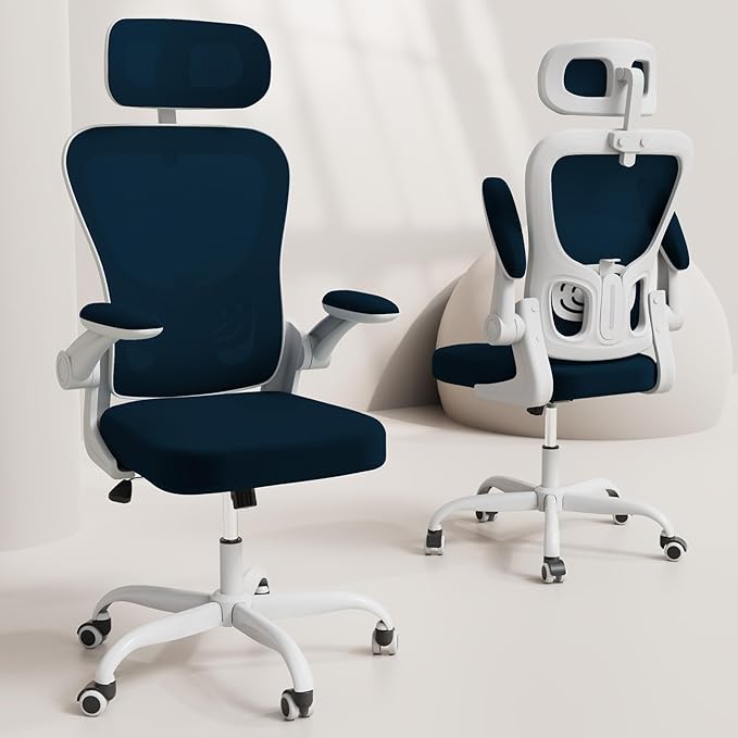 Office Chair, High Back Home Desk Chair with Adjustable Lumbar Support and Headrest