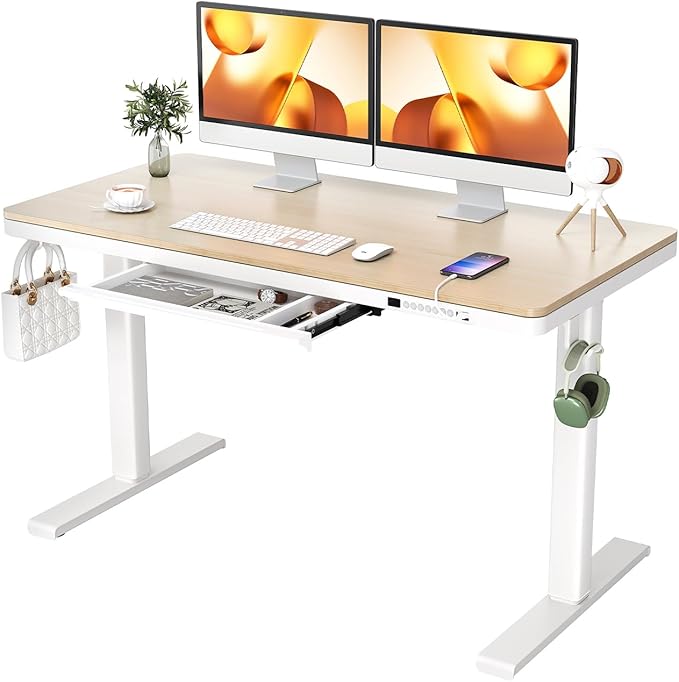 Dual Motor Electric Standing Desk with Drawers,48x24 Inch Whole-Piece Quick Install