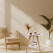 Round Wooden Coffee Table, 2-Tier Modern Minimalist Design