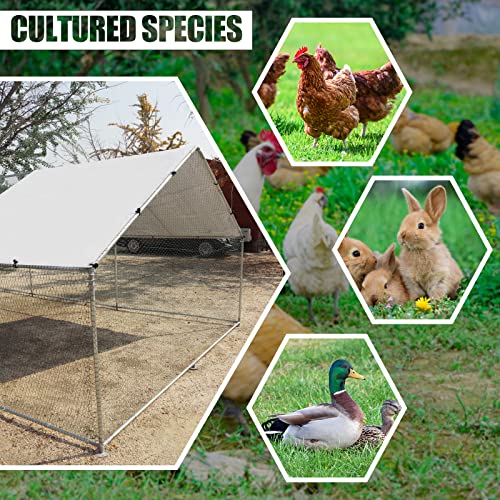 Large Metal Chicken Coop Walk-in Poultry Cage Hen Duck Run House