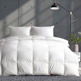 Lightweight Down Feather Fibers Comforter Full/Queen Size, Fluffy Duvet Insert for Warm