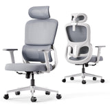 Office Chair, Ergonomic Office Chair with Adjustable Lumbar Support and Height, Comfortable