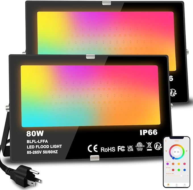 Light Outdoor 800W Equivalent 8000LM Smart RGB Landscape Lighting