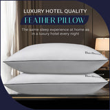 Feather Pillows Queen Size Set of 2 - Down Feather Pillows for Sleeping