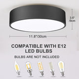 Flush Mount Ceiling Light,11.8 inch 2-Light Close to Ceiling Light Fixture,Matte Black Indoor