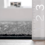 Arlena Vintage Traditional Area Rug 10x14 - Black Grey