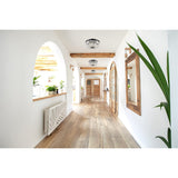 Lighting Indoor Modern Home Decorative Bright Cora 10 inch Flush Mount in Black
