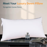 Natural Goose Down Pillows - Soft and Support Down Bed Pillow for Back, Side