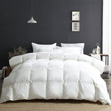 Lightweight Down Feather Fibers Comforter Full/Queen Size, Fluffy Duvet Insert for Warm
