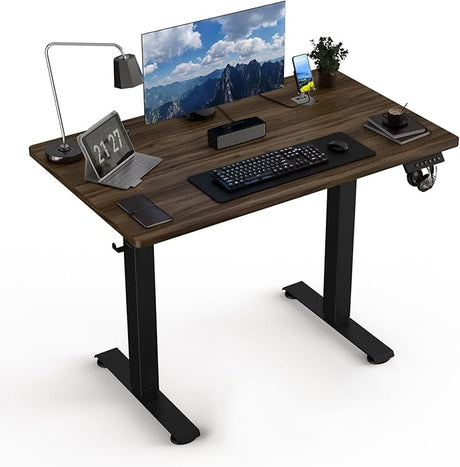 40 * 24 Electric Standing Desk, Adjustable Height Sit Stand Up Desk, Motorized Home Office Computer Gaming Workstation Desk