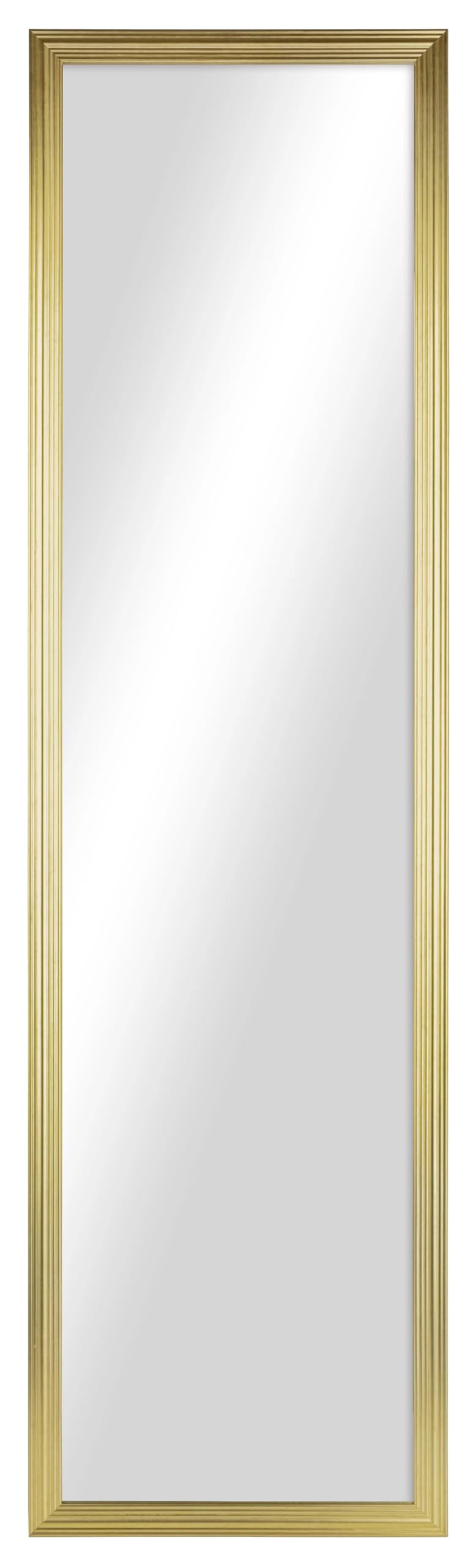 13x49 Rectangular Full-Length Mirror (Gold) The Door Full Body Wall Mirror