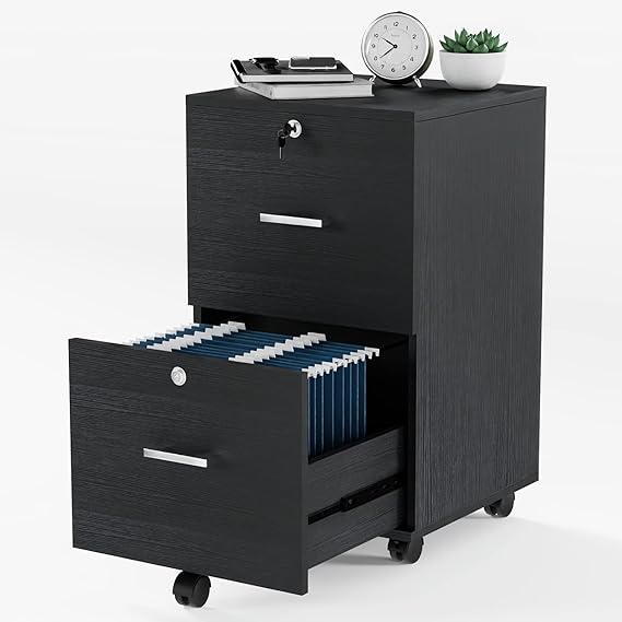 2 Drawer File Cabinet with Lock, Wood Rustic Gray File Cabinet