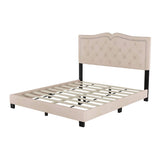 Queen Full Size Upholstered Bed Frame with Rivet Design, Modern Velvet Platform Bed