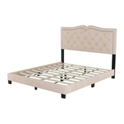 Queen Full Size Upholstered Bed Frame with Rivet Design, Modern Velvet Platform Bed
