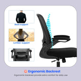 Ergonomic Desk Modern Rolling Executive Mesh Chair with Lumbar Support