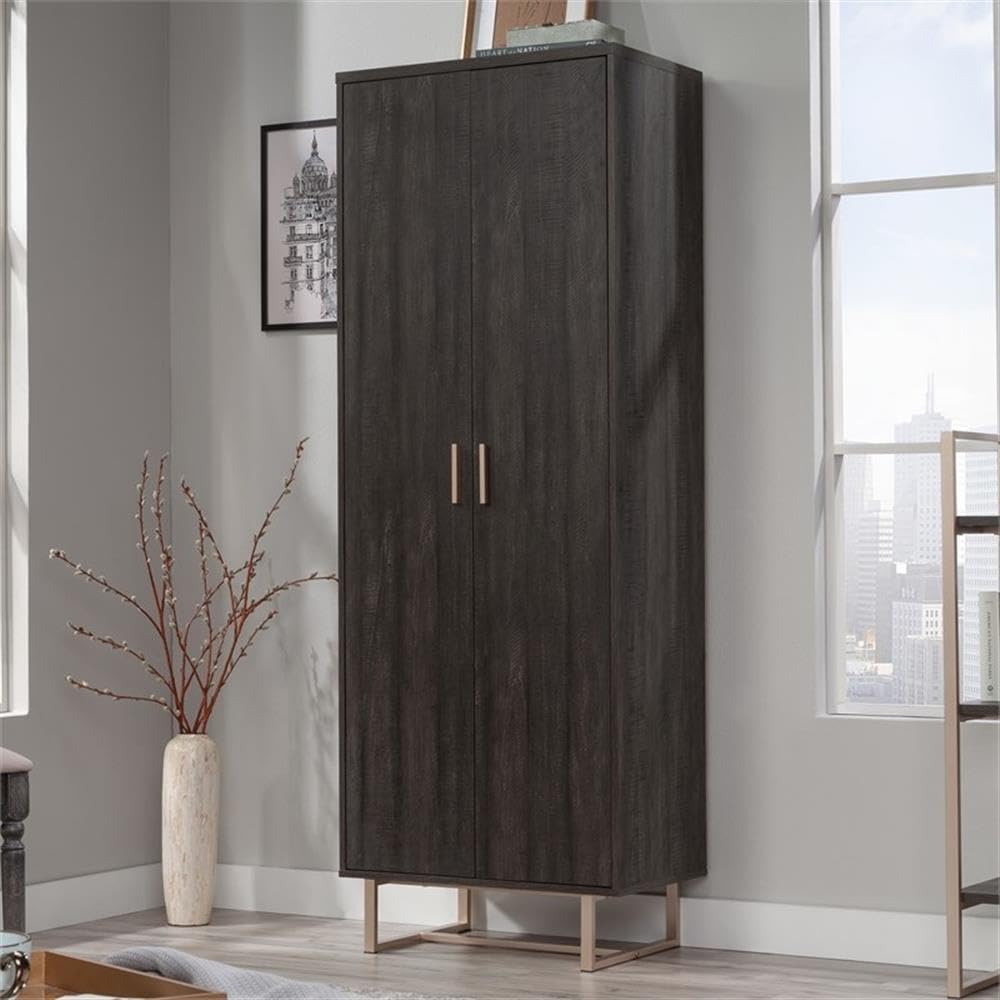 Walter Heights Engineered Wood Storage Cabinet in Blade Walnut