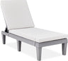 Outdoor Lounge Chair, Resin Patio Chaise Lounger for Poolside, Backyard