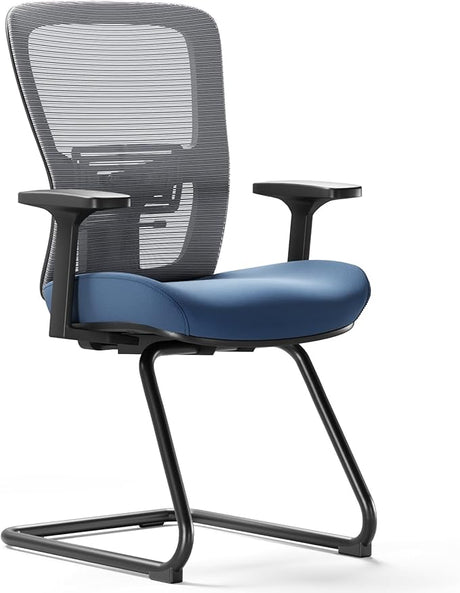 Premium Home Office Chair Ergonomic, Office Desk Chair Lumbar Support, Work