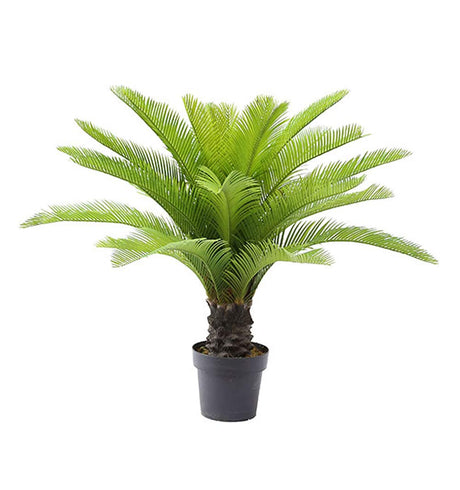 Gorgeous 3 Feet Cycas Revoluta Sago Palm Tree Artificial Plant with Nursery Pot,