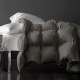 Premium Feathers Down Comforter 100% Cotton Cover Duvet Insert with Corner Tabs (White, King All Season)