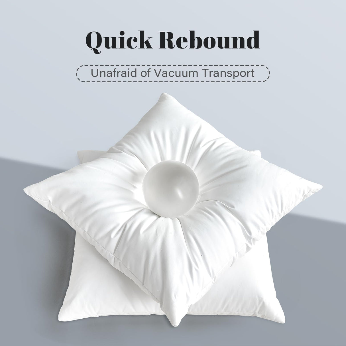 DOWNSTORIA 24x24 Pillow Inserts Set of 2, White Throw Pillow Insert 2 Pack, Foam Filled Decorative Pillows Stuffer for Couch, Bed, Living Room.(24x24 Inch)