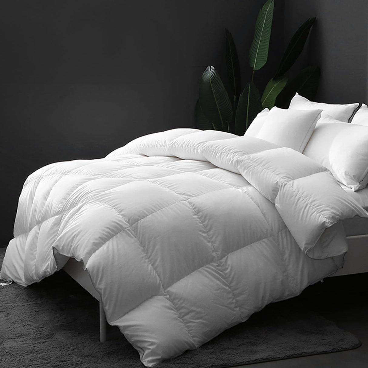 DWR Organic Cotton Feathers Down Duvet Insert King | All-Seasons Down Comforter | Ultra-Soft 750 Fill-Power Medium Warmth Hotel-Style Comforter Insert with Ties (106x90 Inches, White)