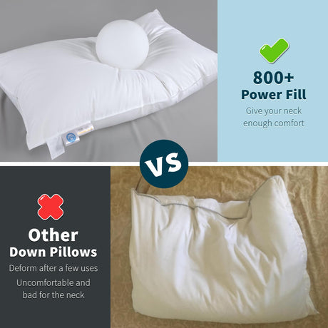 Goose Down Pillow King Size,800+ Fill Power Soft Side Sleeper Pillow for Sleeping Neck