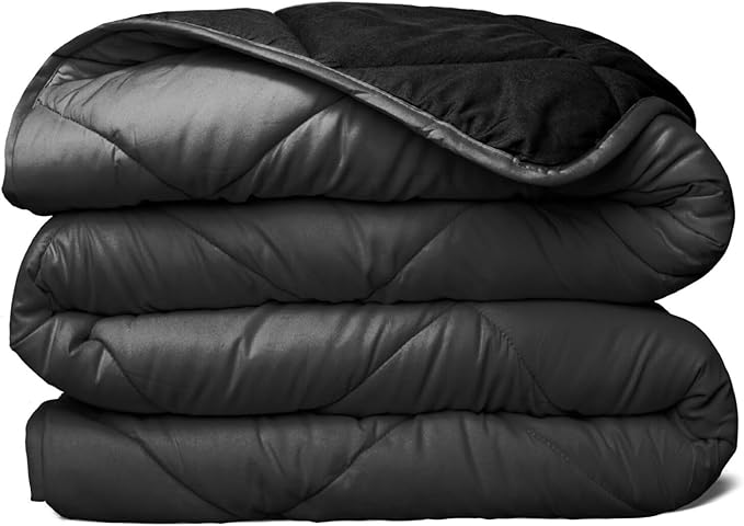 All Seasons Twin/Twin XL Down Alternative Reversible Comforter - Perfect for Dorm