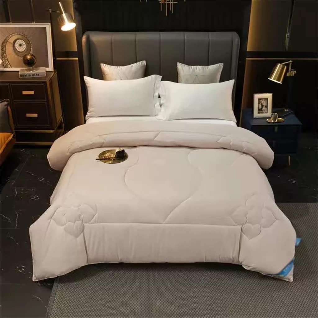 Silk Quilts Warm Winter Duvet Insert Quilted Bed Comforter King Queen Full Twin Size