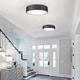 Flush Mount Ceiling Light,11.8 inch 2-Light Close to Ceiling Light Fixture,Matte Black Indoor