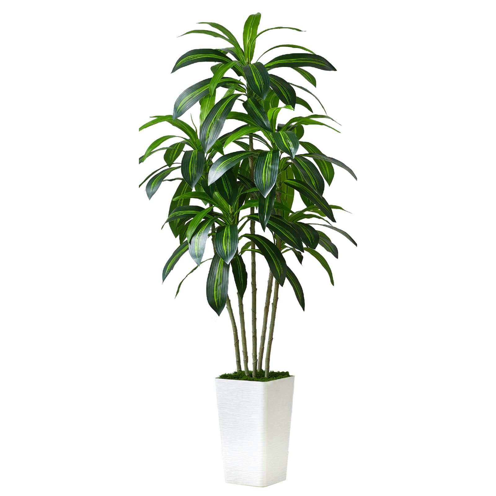 Dracaena Tree Artificial Silk Tree Faux Tree with White Tall Planter Fake Tropical Yucca