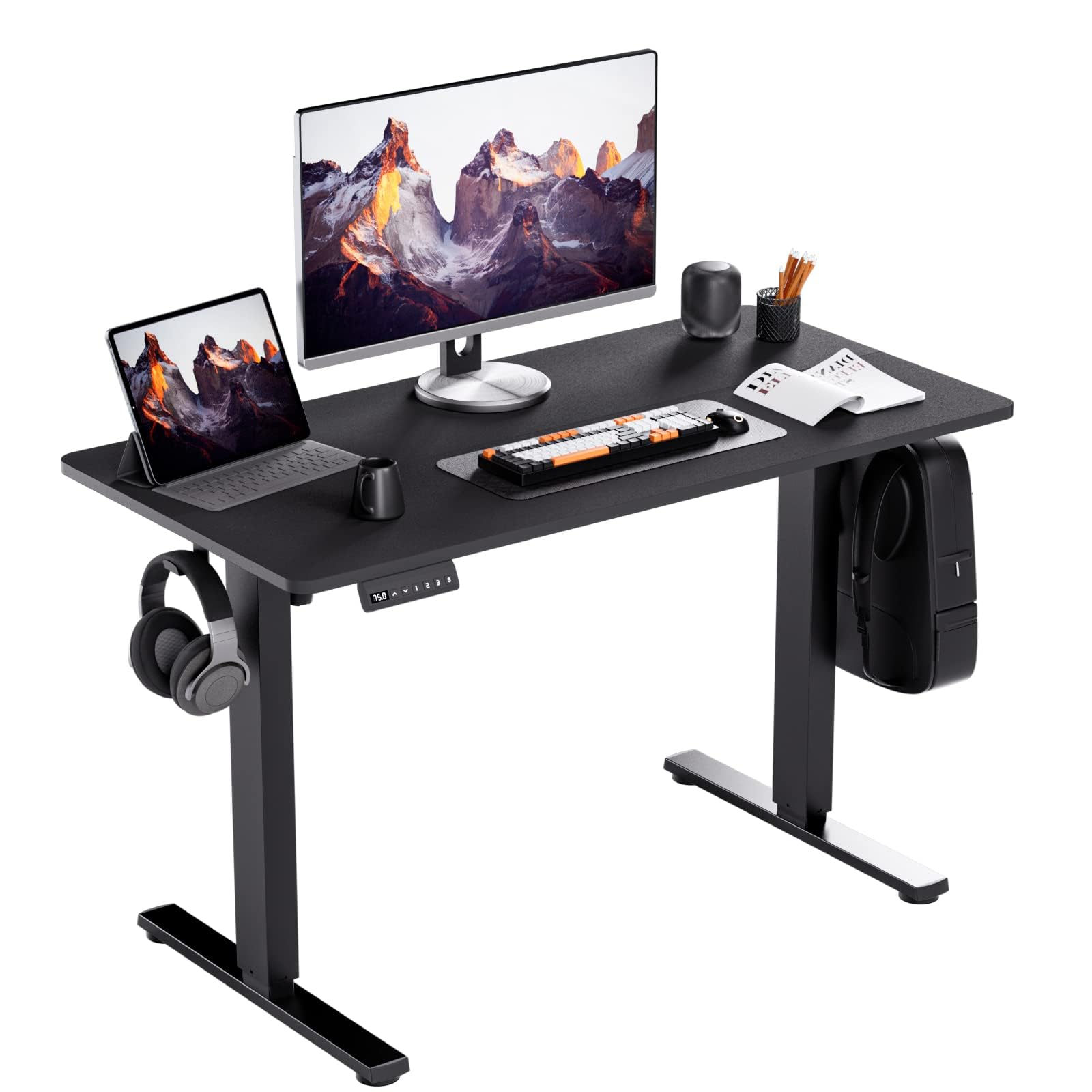 Motorized Standing Desks, Electric Stand Up Desk with Ultra Stable Construction and Cable Management,Adjustable Height Desk with Memory Preset Design for Home Office Use 48x24 in Black