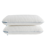 Dreamlife Queen Size Memory Foam Cooling Surface Guard Technology