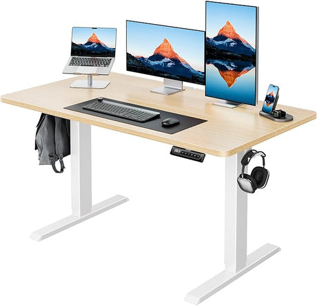 48" x 24" Electric Standing Desk Adjustable Height, 4 Memory Height Settings