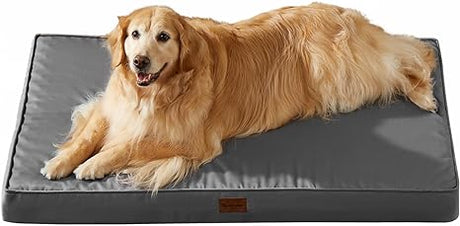 Outdoor Dog Beds for Large Dogs, Waterproof Dog Bed for Medium, Large, Extra