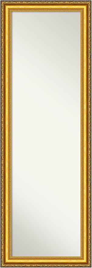 Wood Door Wall Mirror, Full Length Mirror (51.75 x 17.75 in.), Townhouse Gold Full Body