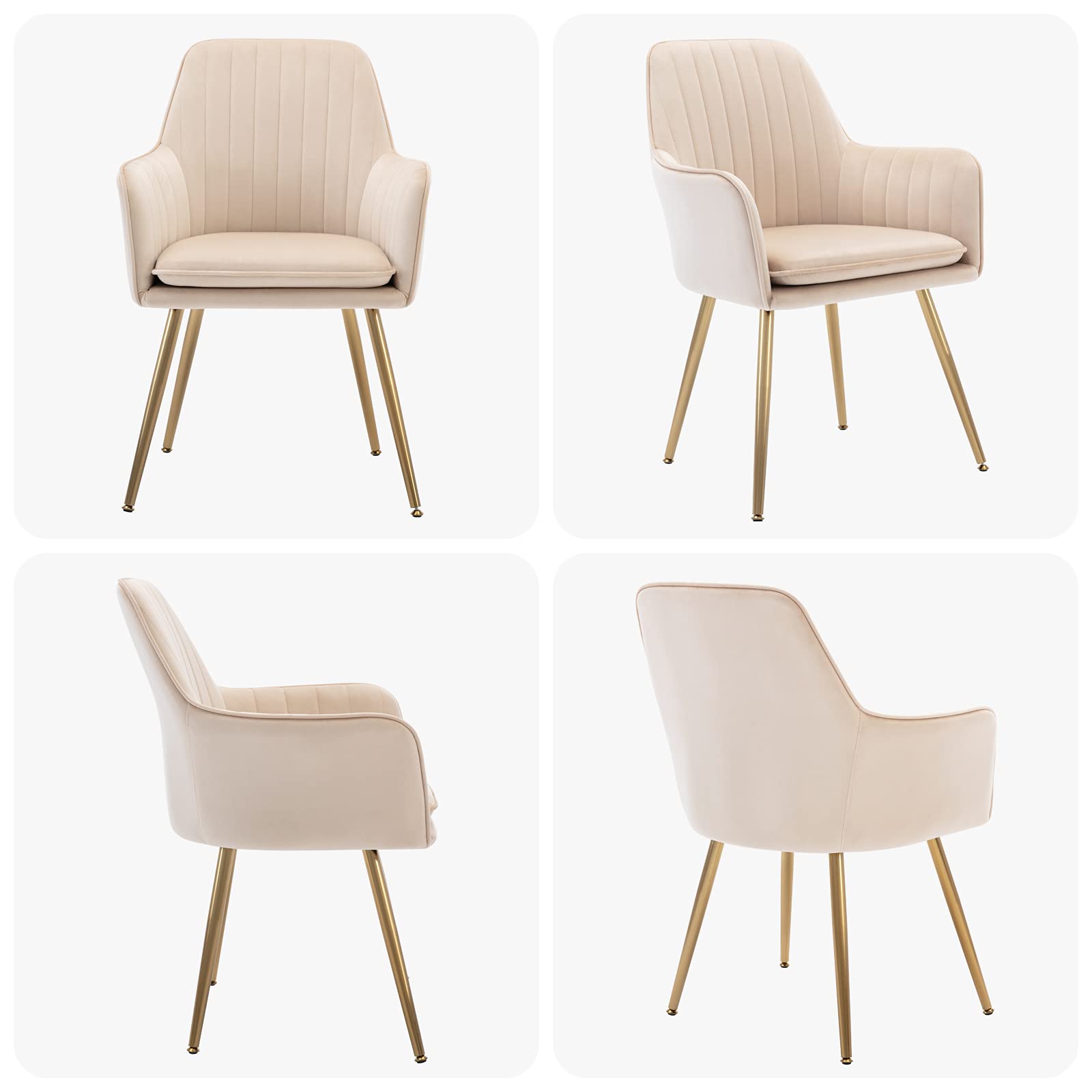 Velvet Dinning Chair Set of 4 Mid-Back Accent Chair Modern Leisure Armchair with Gold