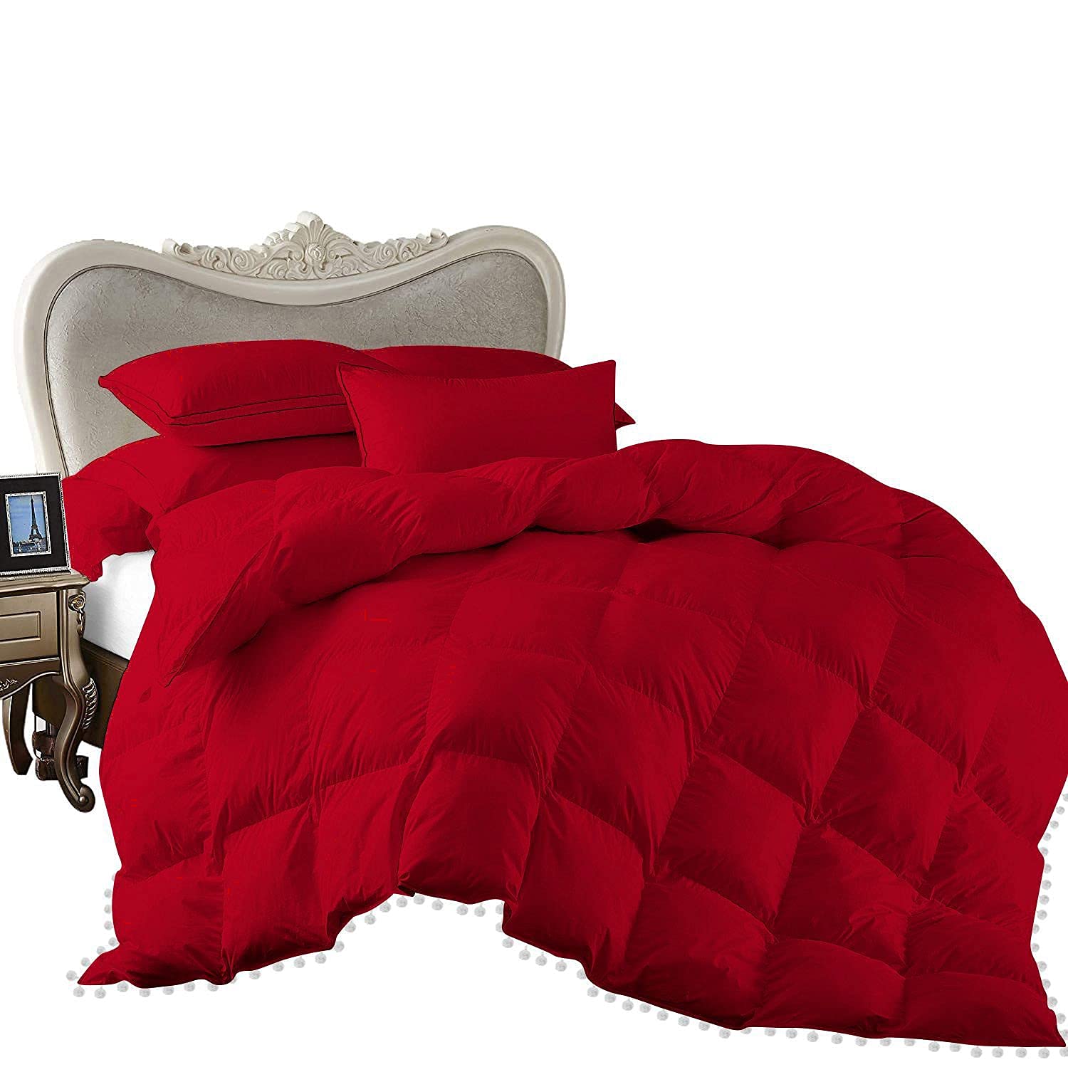 All Seasons 1 Piece Beautiful Looking Pom Pom Box Design Comforter 800 Thread Count 100% Egyptian Cotton, White Vintage Pom-Pom Fringe Super Soft (Full/Queen Size Red Color)