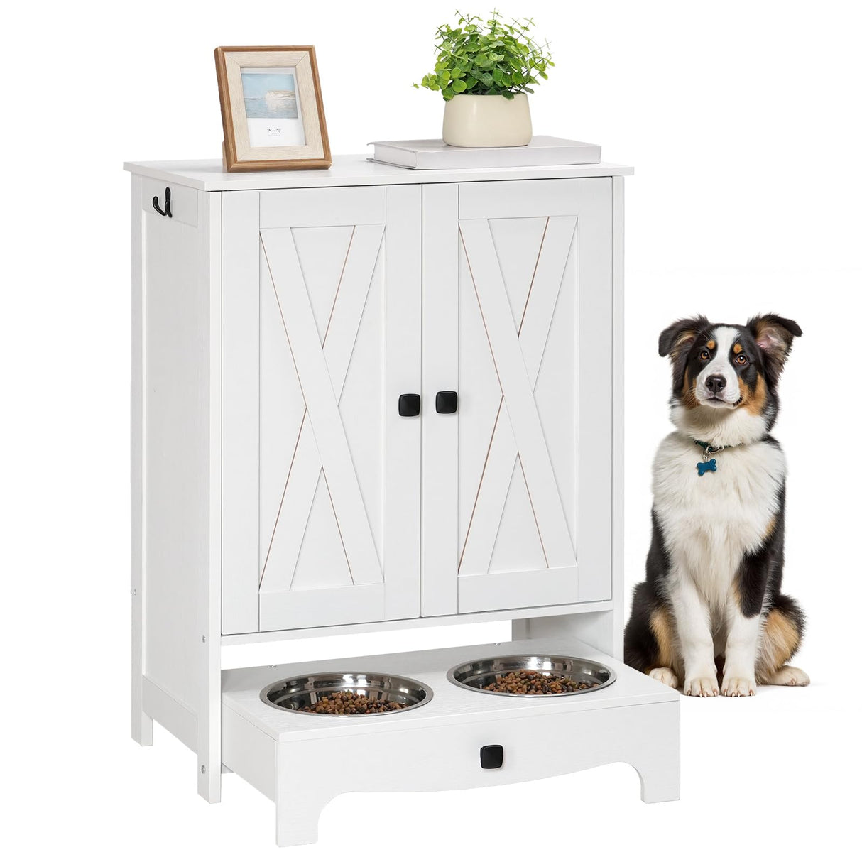 Elevated Dog Feeding Station with Storage Cabinet
