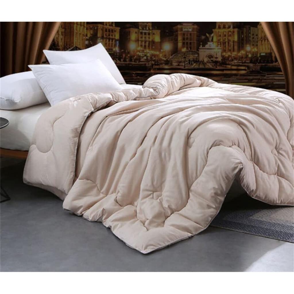Silk Quilts Warm Winter Duvet Insert Quilted Bed Comforter King Queen Full Twin Size
