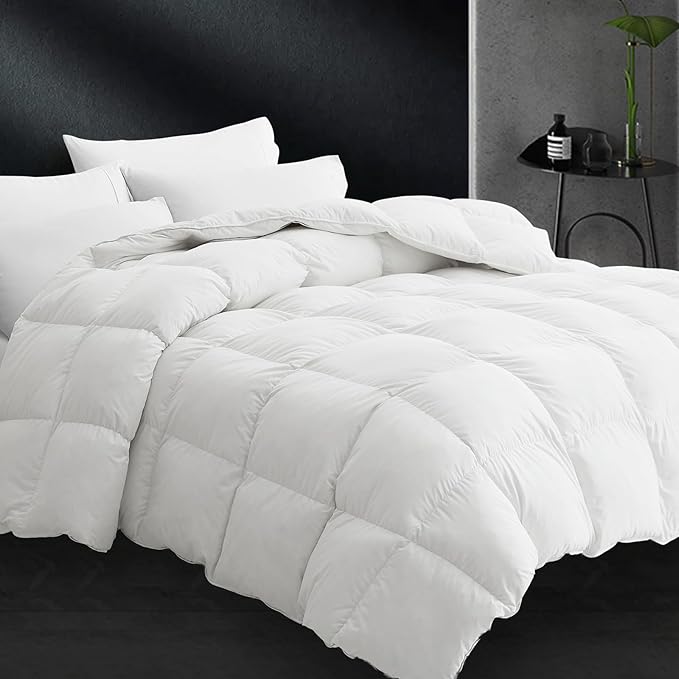 Comforter Queen Size - Winter Cream White Down Duvet Insert, Fluffy Warm Breathable