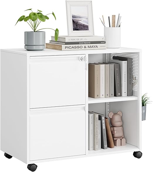 2 Drawer File Cabinet on Wheels, Metal Filing Cabinets with Storage Shelves