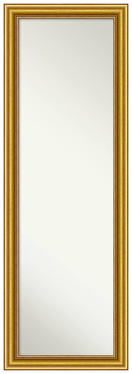 Wood Door Wall Mirror, Full Length Mirror (51.75 x 17.75 in.), Townhouse Gold Full Body