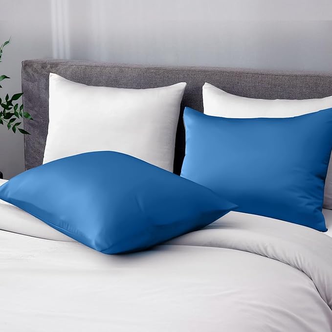 Pure Mulberry Silk Pillowcases Set of 2, Standard Size Silk Pillow Cases