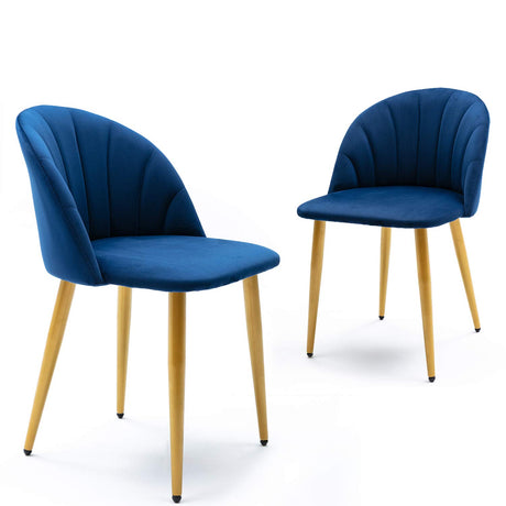 Velvet Dining Chairs Set of 2, Mid Century Modern Dining Chair, Leisure Farbic Modern