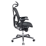 Quantum 9000 Series Ergonomic Mesh High-Back Executive Office Chair, Black, BIFMA