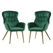 Velvet Accent Chair Set of 2, Button Tufted Reading Chair with Large Tall Wing Back