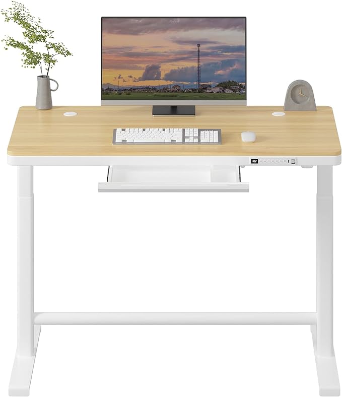 AITERMINAL Electric Standing Desk with Drawers, Height Adjustable Sit Stand Desk with Drawer, Home Office Desk Storage & USB Ports, 45 x 23 Inch White Desktop/White Frame