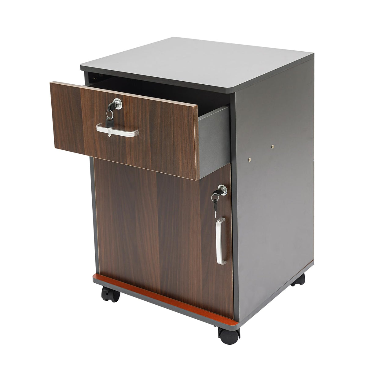Mobile File Cabinet Rolling Printer Stand Vertical Filing Cabinet Organizer