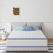 Queen Mattress, 12 Inch Medium Firm Hybrid Queen Mattress